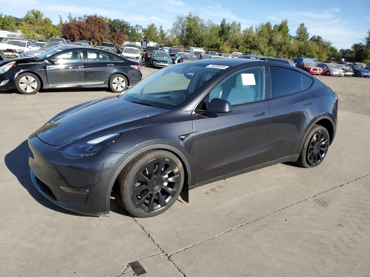 2024 TESLA MODEL Y  VIN:7SAYGAEE2RF080993