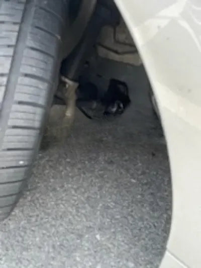 2018 BMW 520 NONE VIN: