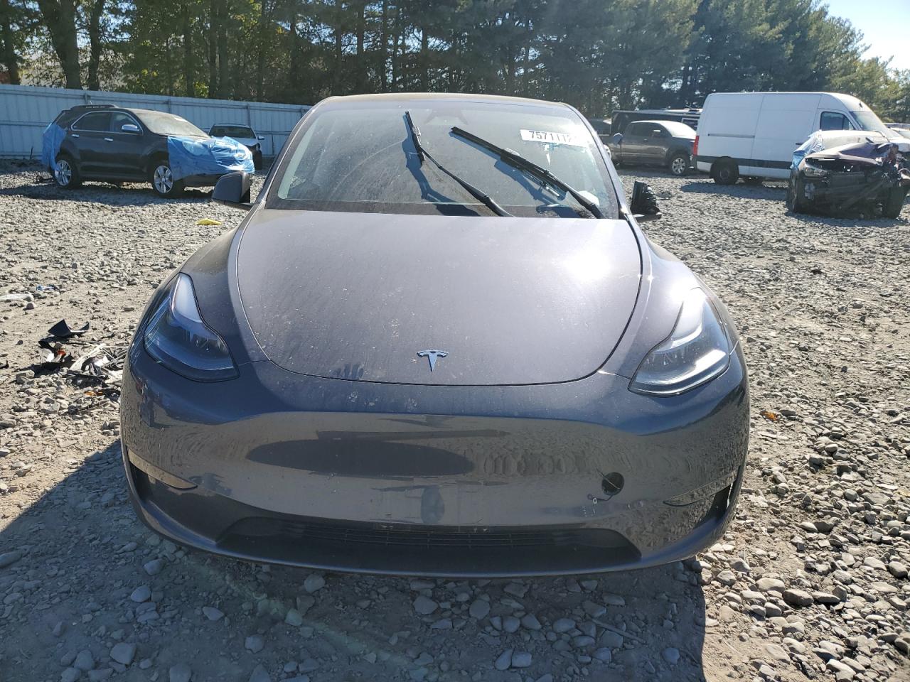 2023 TESLA MODEL Y  VIN:7SAYGDEE6PF896023