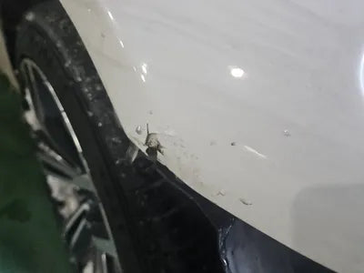 2016 BMW 520 WBA5E5108GG069830 VIN:WBA5E5108GG069830