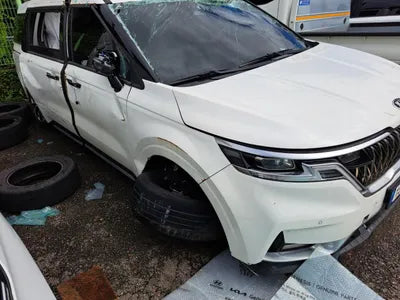 2020 Kia Carnival KNANE81BBMS010172 VIN:KNANE81BBMS010172