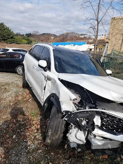 2021 Kia Sorento KNARH81BGMA053240 VIN:KNARH81BGMA053240