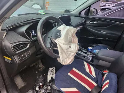 2019 Hyundai Santa FE KMHS381ADKU074587 VIN:KMHS381ADKU074587