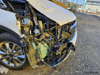 2017 Kia Sorento KNAPH81ABHA338797 VIN:KNAPH81ABHA338797