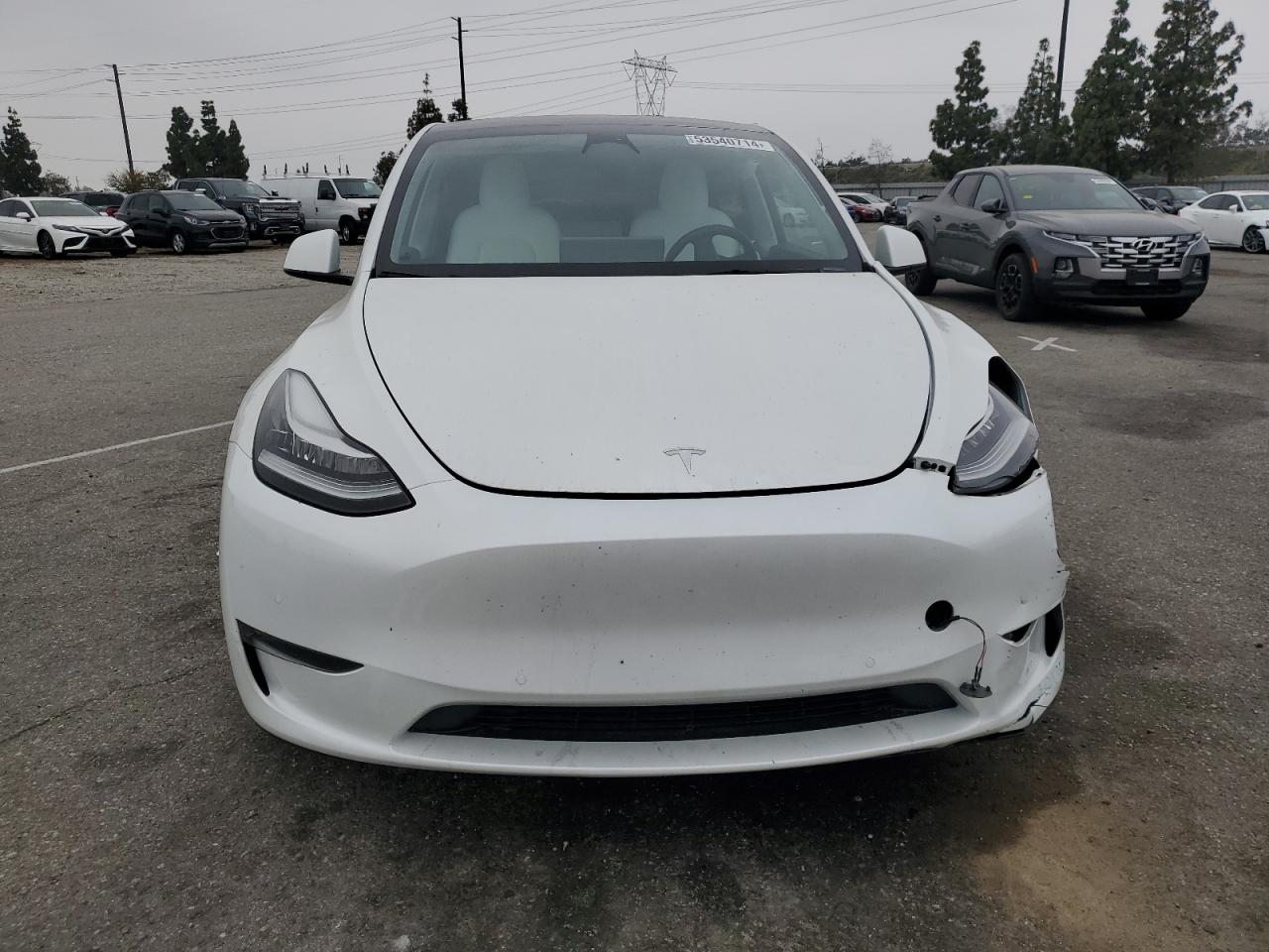 2022 TESLA MODEL Y  VIN:7SAYGDEE8NF512031