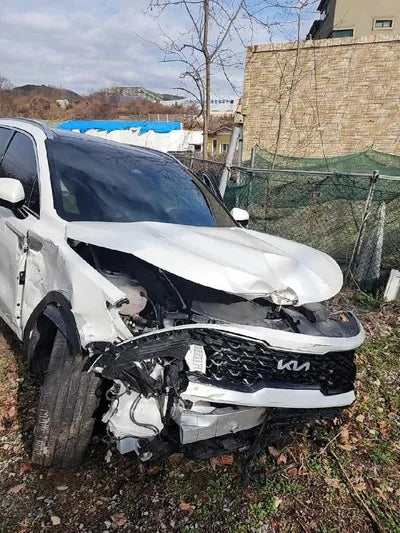 2021 Kia Sorento KNARH81BGMA053240 VIN:KNARH81BGMA053240