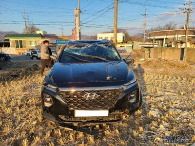 2019 Hyundai Santa FE KMHS381CBKU019453 VIN:KMHS381CBKU019453