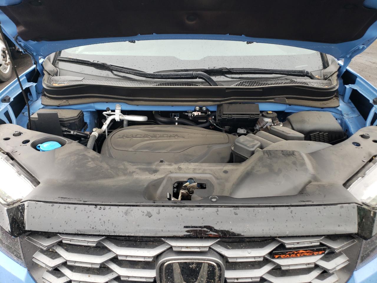 2024 HONDA PASSPORT TRAIL SPORT VIN:5FNYF8H65RB013723