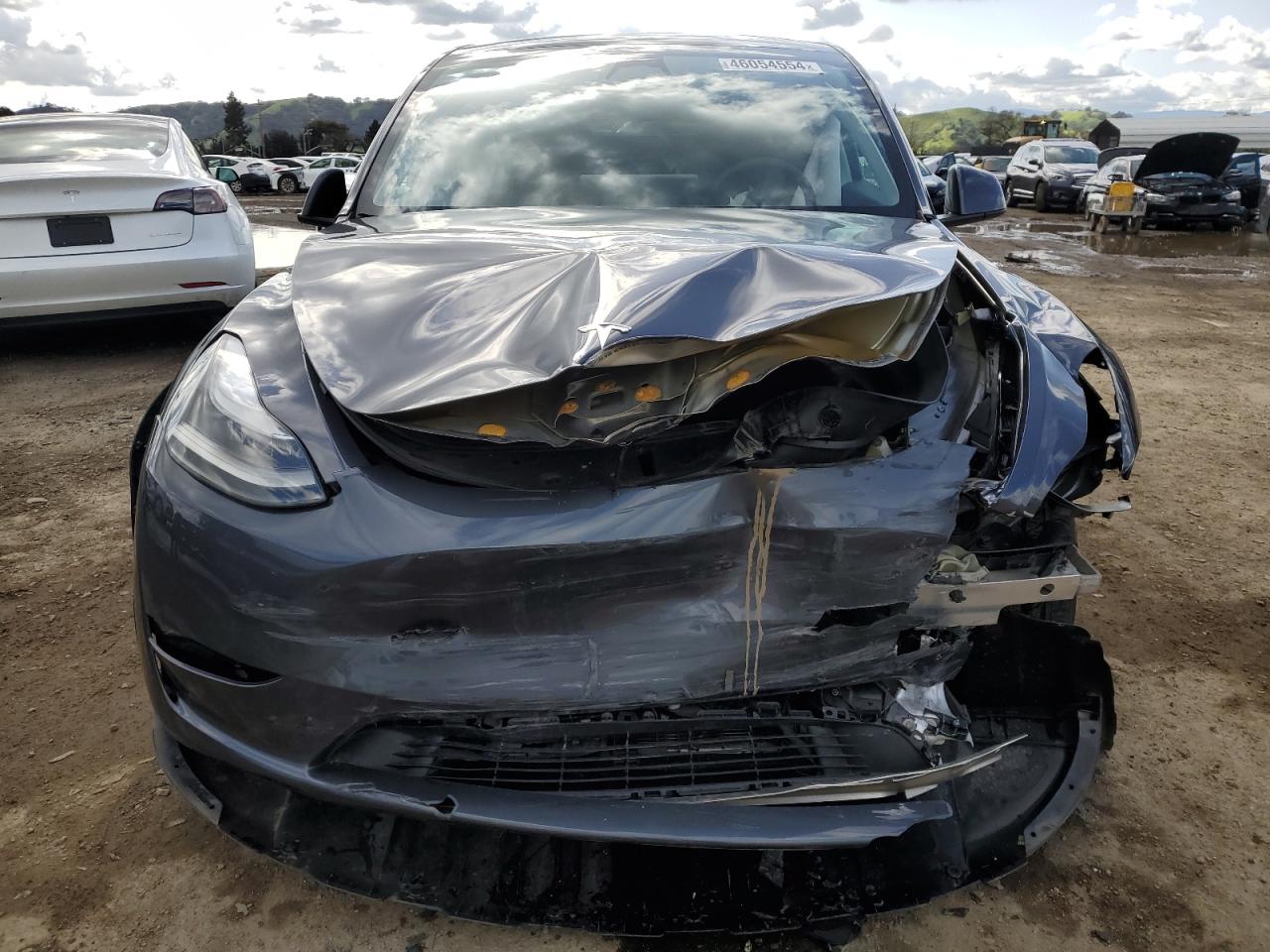 2023 TESLA MODEL Y  VIN:7SAYGDEEXPF715912