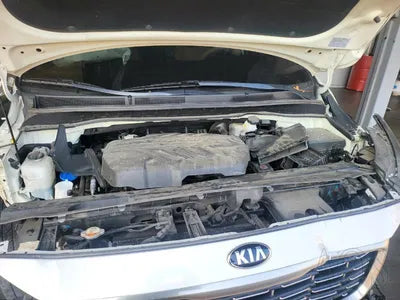 2019 Kia Carnival KNAMB81ABKS601953 VIN:KNAMB81ABKS601953