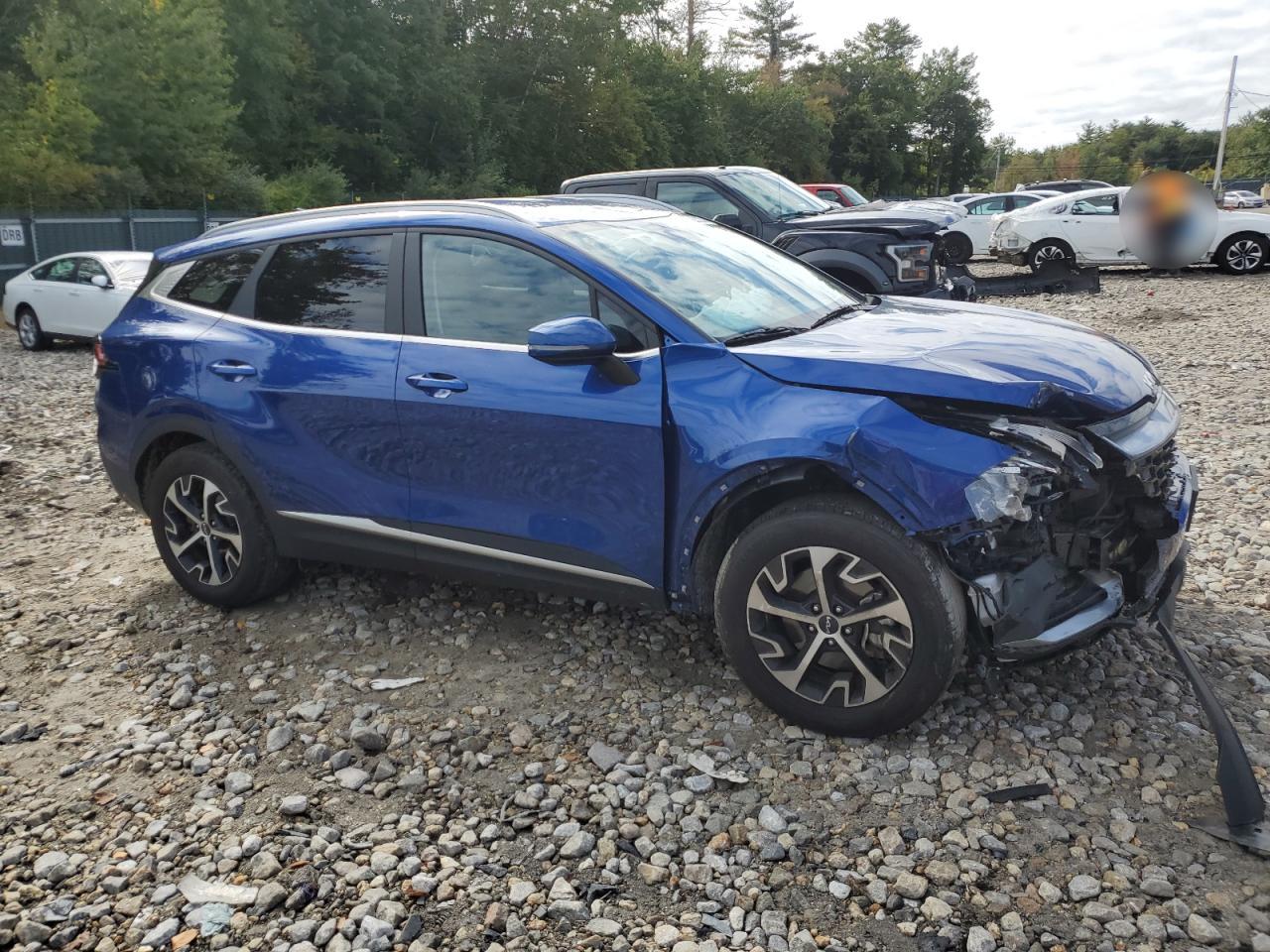 2023 KIA SPORTAGE EX VIN:5XYK3CAF3PG109092