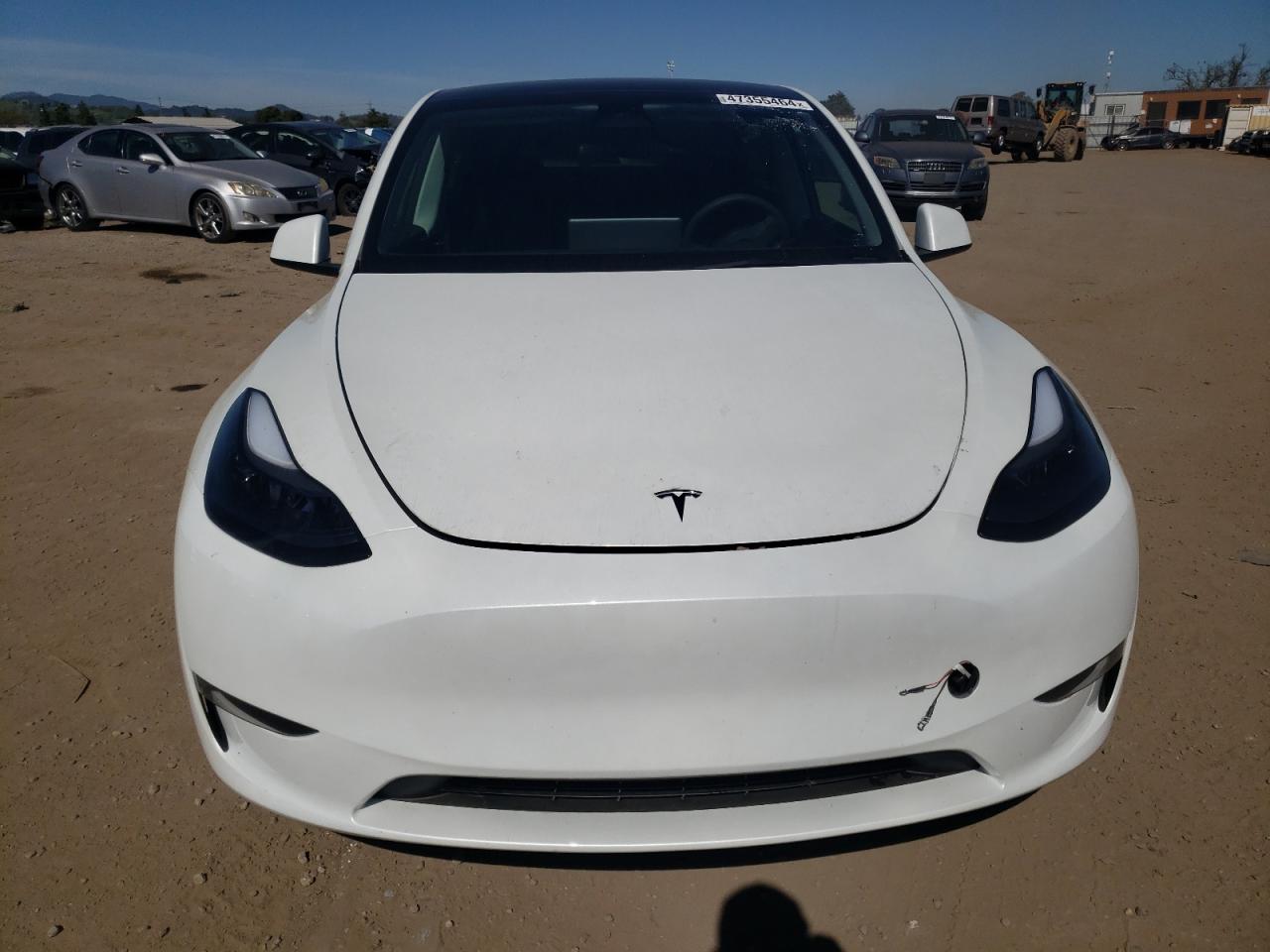 2023 TESLA MODEL Y  VIN:7SAYGDEEXPF675010