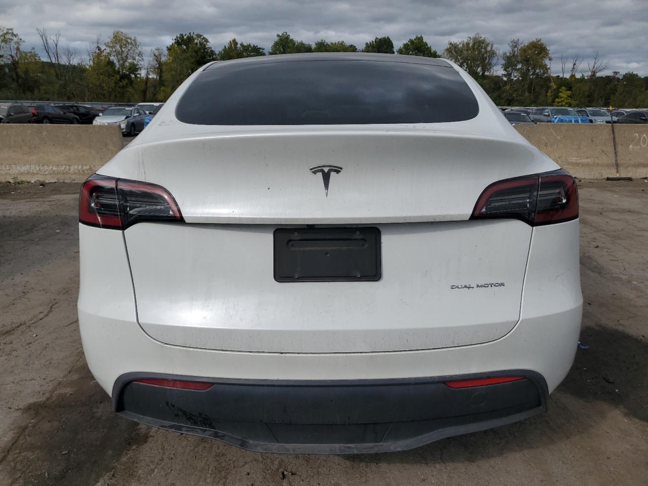 2023 TESLA MODEL Y  VIN:7SAYGDEE8PA057536