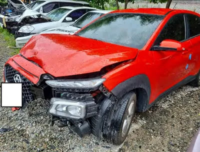 2018 Hyundai Kona KMHK3816GJU102106 VIN:KMHK3816GJU102106
