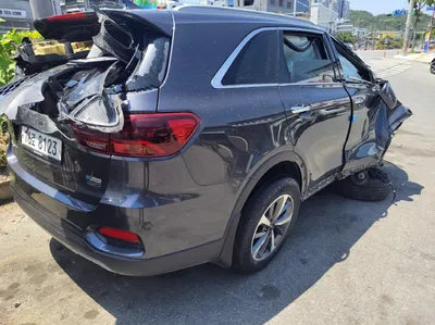 2019 Kia Sorento KNAPS81BDKA507127 VIN:KNAPS81BDKA507127