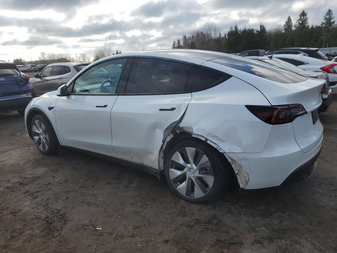 2022 TESLA MODEL Y  VIN:7SAYGDEE6NF358564