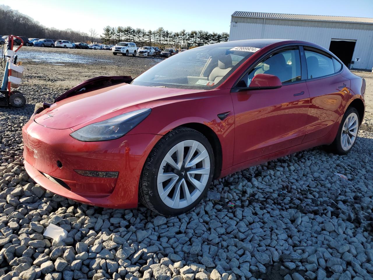 2023 TESLA MODEL 3  VIN:5YJ3E1EA8PF583984