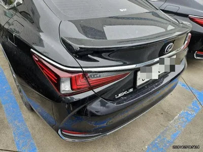 2019 Lexus ES 300 VIN: