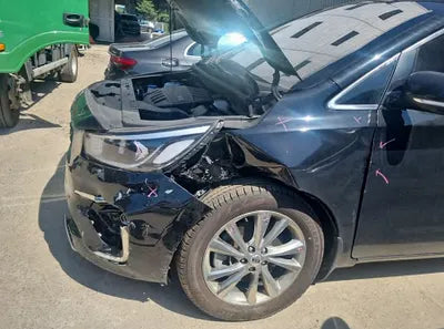 2019 Kia Carnival KNAMC81ABKS544123 VIN:KNAMC81ABKS544123