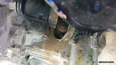 2020 Toyota Prius JTDKARFU3L3124528 VIN:JTDKARFU3L3124528