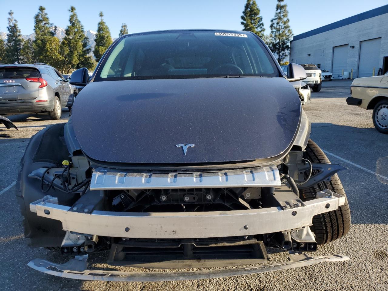 2022 TESLA MODEL Y  VIN:7SAYGDEE5NA022384