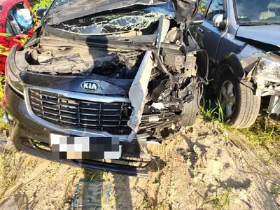 2020 Kia Carnival VIN: