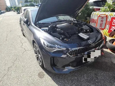 2019 Kia Stinger KNAE751CDKS058777 VIN:KNAE751CDKS058777
