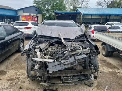 2019 Hyundai Santa FE KMHS381CBKU017002 VIN:KMHS381CBKU017002