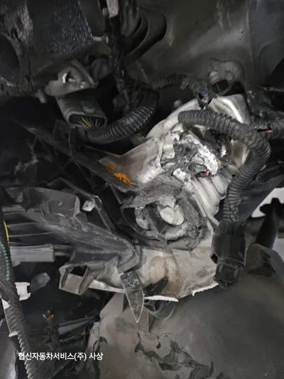 2020 Tesla Model 3 5YJ3E1EB1LF692497 VIN:5YJ3E1EB1LF692497