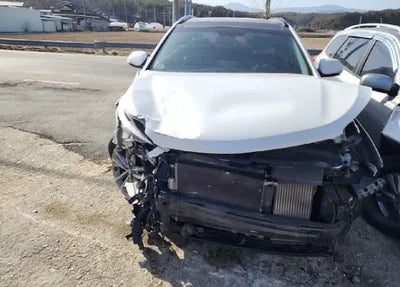 2016 Hyundai Santa FE KMHSW81UDGU557702 VIN:KMHSW81UDGU557702