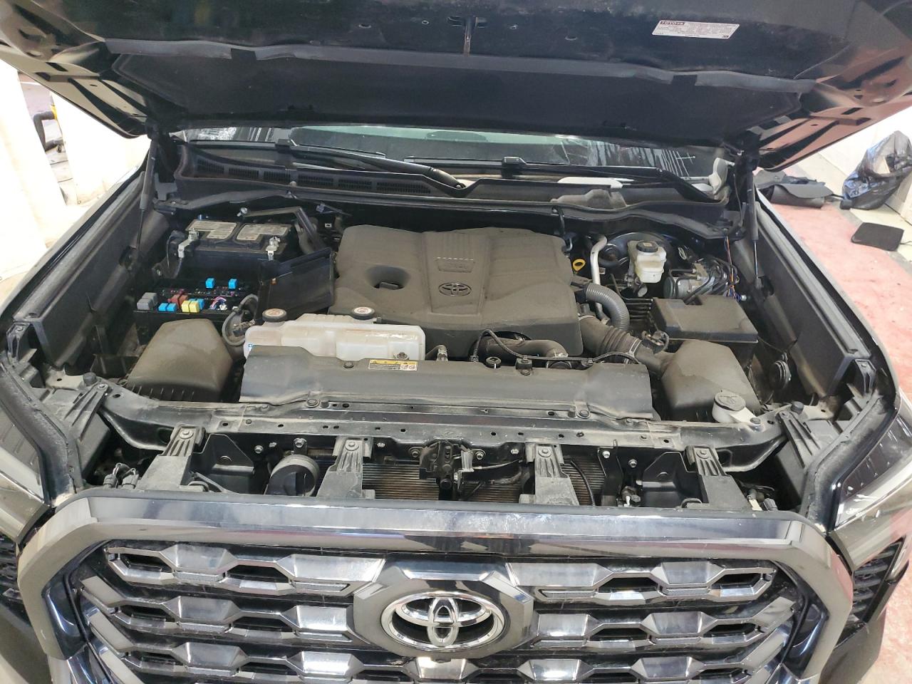 2024 TOYOTA TUNDRA CREWMAX PLATINUM VIN:5TFNA5DB6RX134110