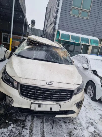 2019 Kia Carnival 115KMKNAME81ABKS5 VIN:115KMKNAME81ABKS5