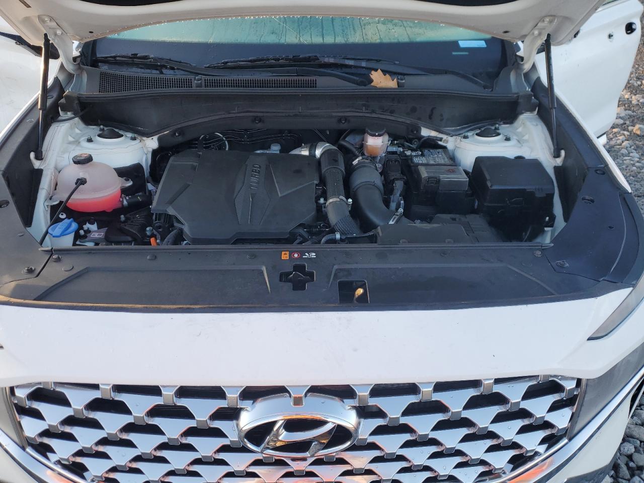 2023 HYUNDAI SANTA FE LIMITED VIN:5NMS4DAL0PH512526