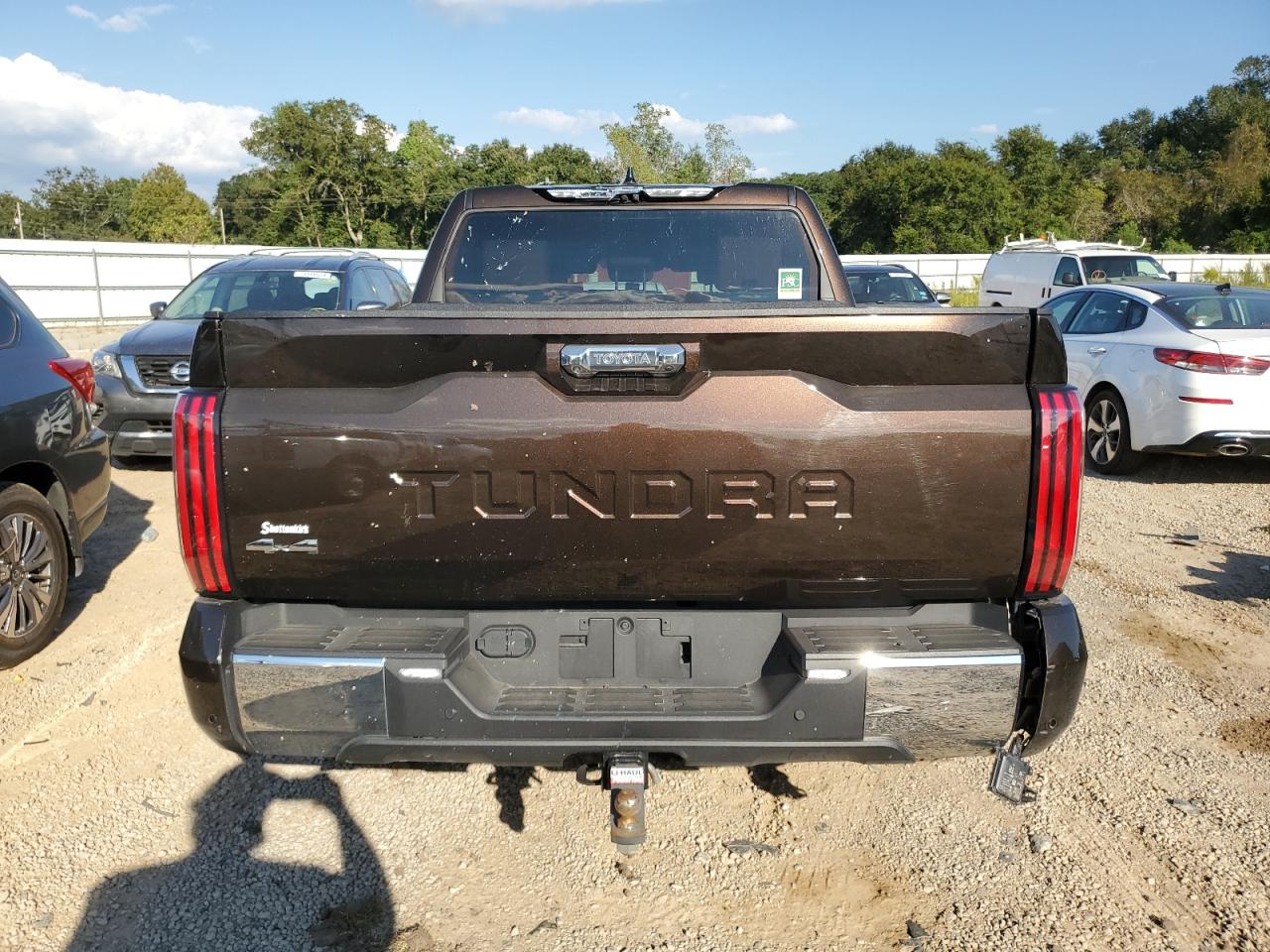 2023 TOYOTA TUNDRA CREWMAX PLATINUM VIN:5TFMC5DB7PX026145