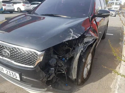 2016 Kia Sorento KNAPS81ABGA127564 VIN:KNAPS81ABGA127564