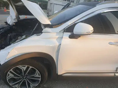 2019 Hyundai Santa FE KMHS381CDKU155389 VIN:KMHS381CDKU155389