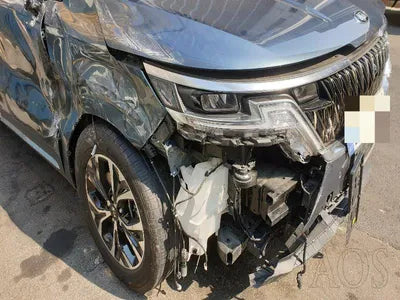 2021 Kia Carnival KNANC813BMS119768 VIN:KNANC813BMS119768