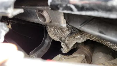 2015 Porsche Panamera VIN: