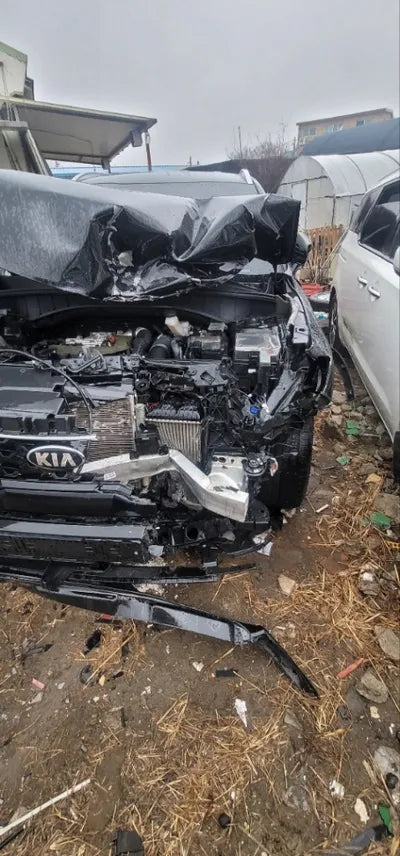 2021 Kia Sorento KNARK81FHMA073308 VIN:KNARK81FHMA073308