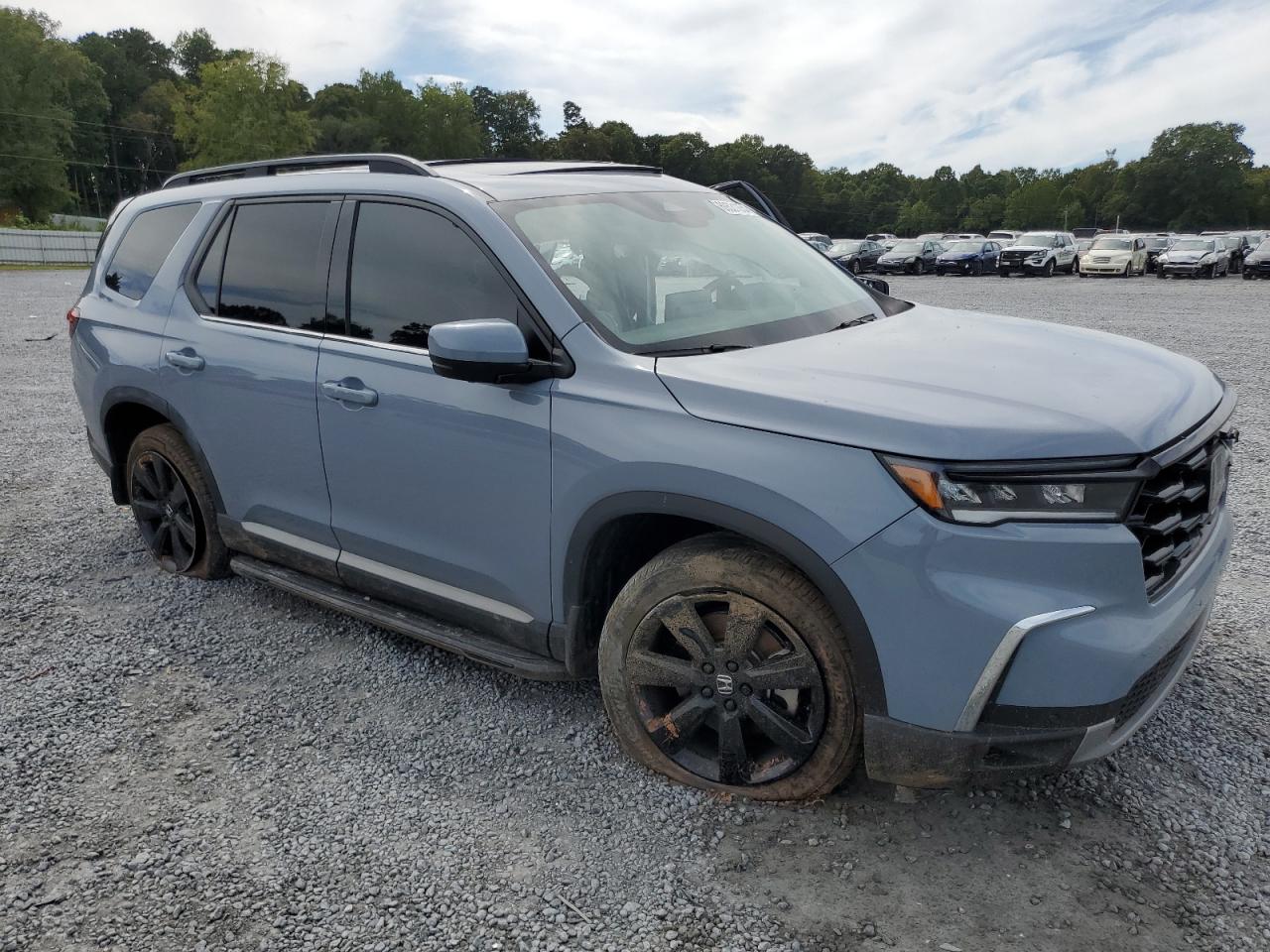 2023 HONDA PILOT ELITE VIN:5FNYG1H82PB043653