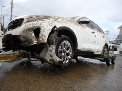 2019 Kia Sorento VIN: