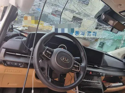 2020 Kia Carnival KNANC81BBMS015175 VIN:KNANC81BBMS015175
