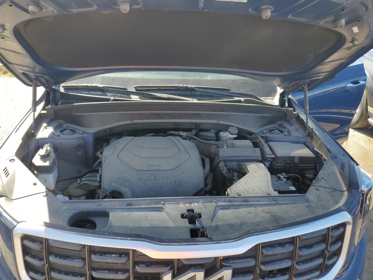 2023 KIA TELLURIDE SX VIN:5XYP5DGC6PG389755