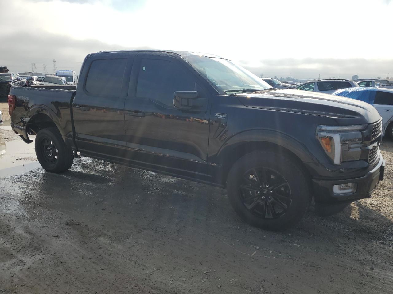 2024 FORD F150 PLATINUM VIN:1FTFW7L85RFB25959