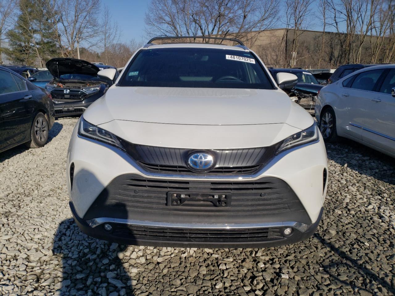 2023 TOYOTA VENZA LE VIN:JTEAAAAH5PJ123580