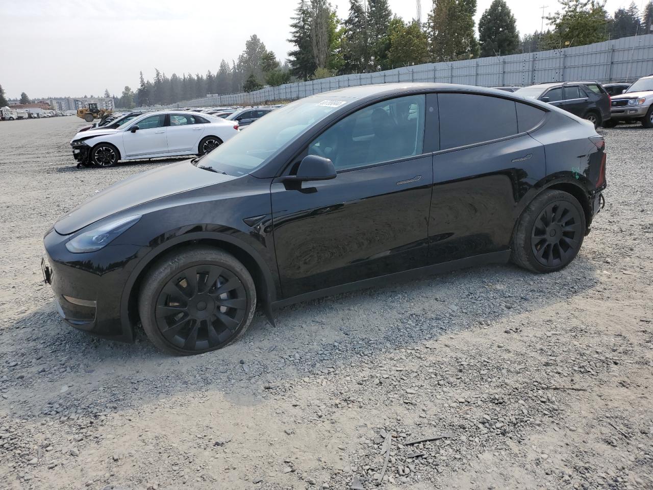 2023 TESLA MODEL Y  VIN:7SAYGAEE6PF874750