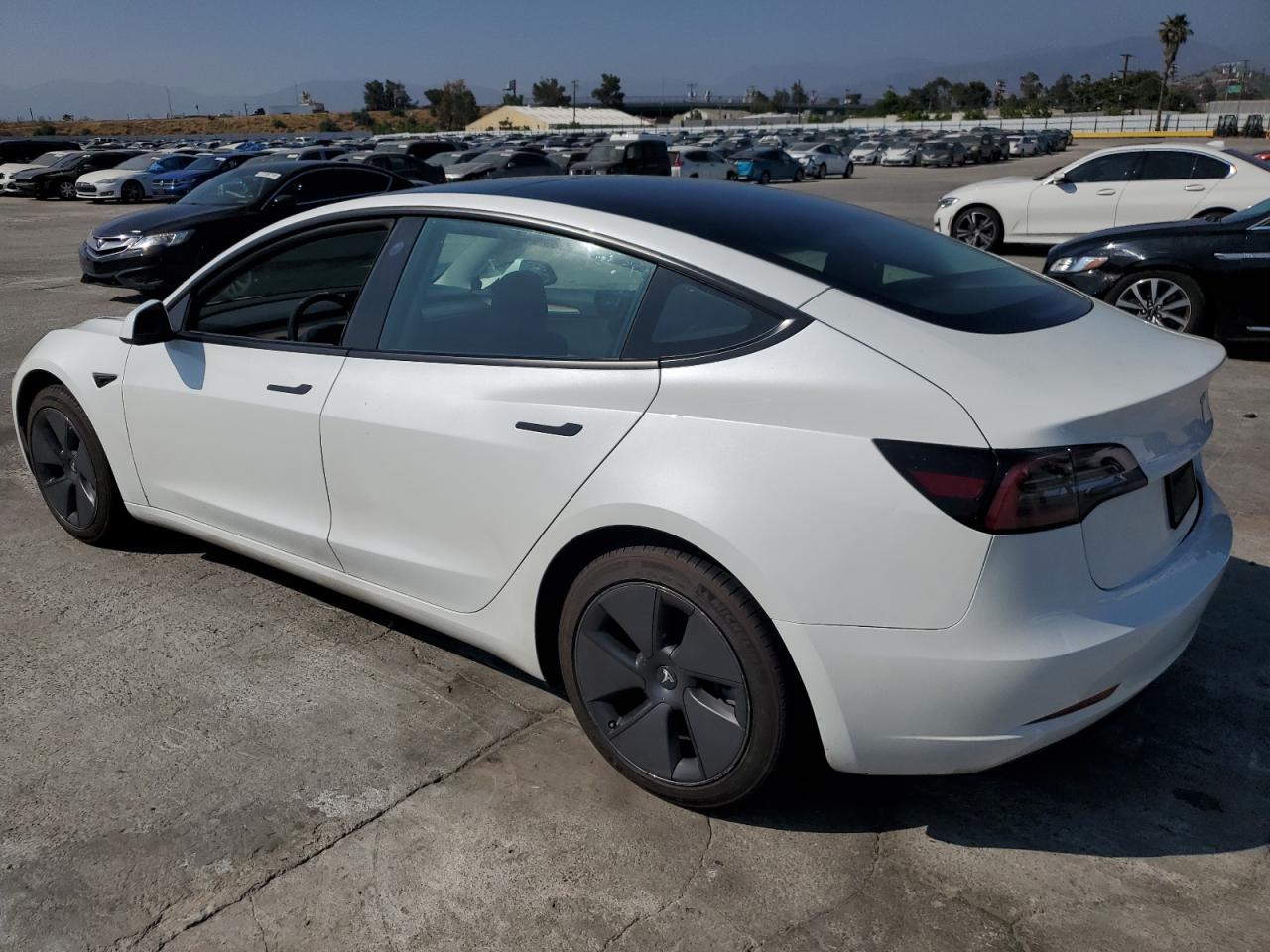 2023 TESLA MODEL 3  VIN:5YJ3E1EA5PF406051