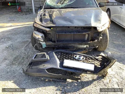 2018 Hyundai Kona KMHK3816GJU254429 VIN:KMHK3816GJU254429