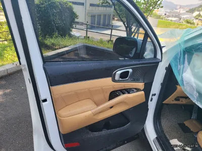 2021 Kia Sorento KNARG81GBMA004149 VIN:KNARG81GBMA004149