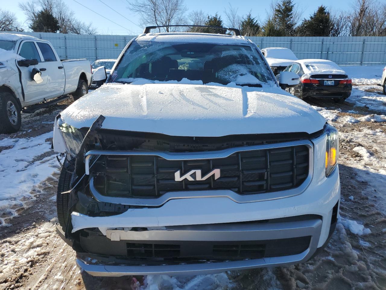 2024 KIA TELLURIDE EX VIN:5XYP34GC7RG551479